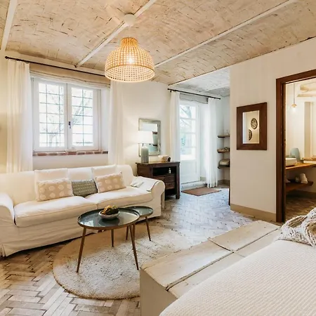 拉维拉酒店 酒店 蒙巴鲁佐